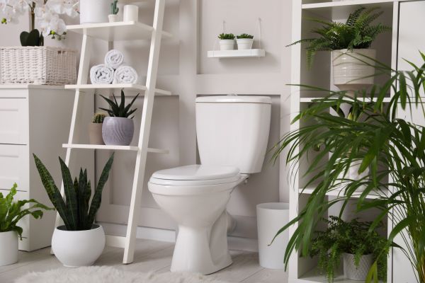 Cost of Toilet Repair in Mckinney