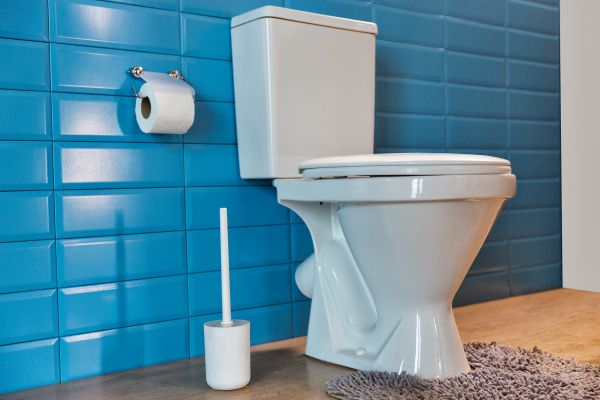Cost of Toilet Tank Repair in Mckinney
