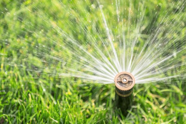 Cost of Spigot Installation in Mckinney